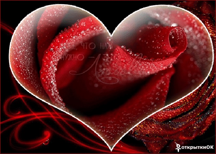 Картинка любовь это всё что нам нужно