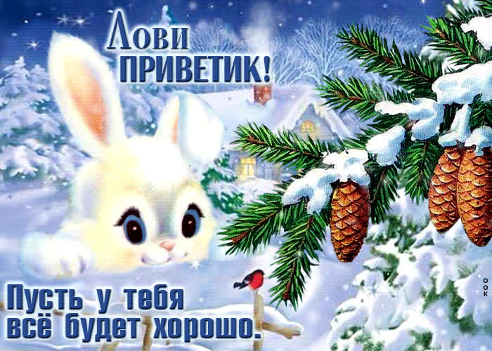 Postcard лови приветик! пусть у тебя все будет хорошо