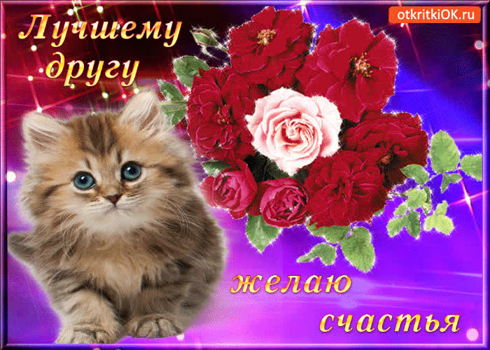 Картинка лучшему другу желаю счастья