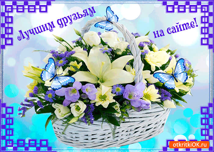 Картинка лучшим друзьям на сайте