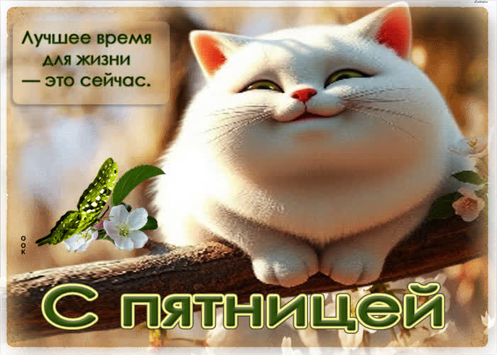 Postcard лучшее время для жизни - это сейчас. с пятницей