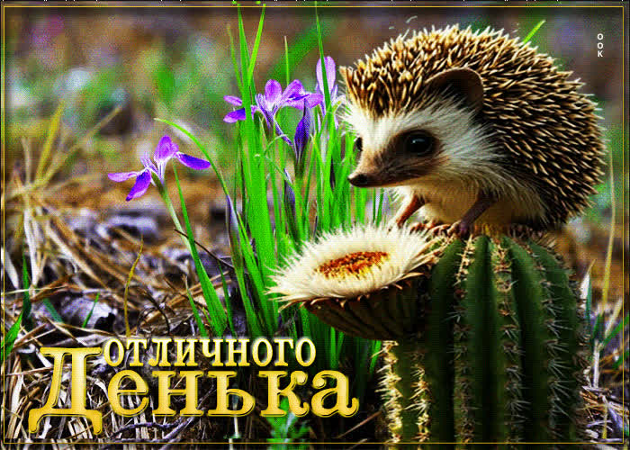 Postcard лёгкая, гармоничная открытка отличного денька