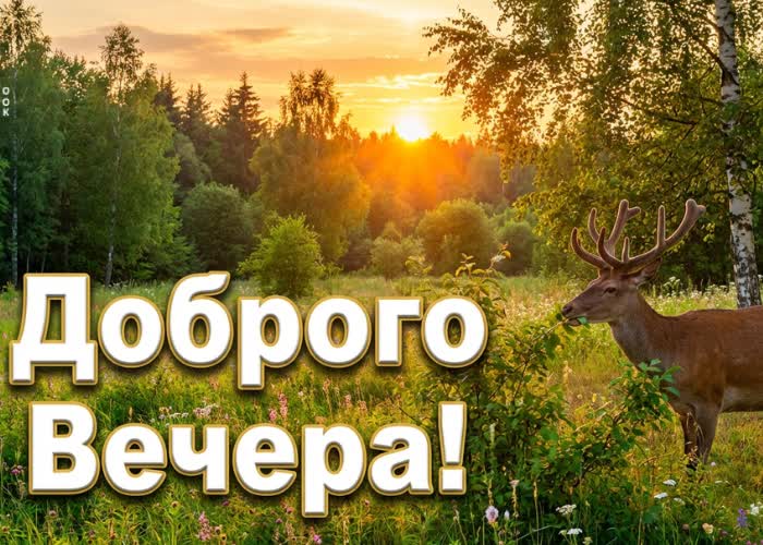 Postcard лёгкого отдыха и приятных мыслей.