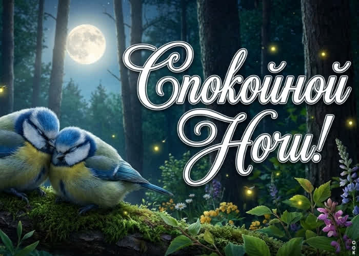 Picture лёгкой ночи и мягкого летнего сна