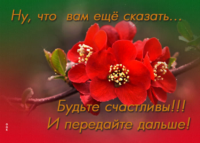 Картинка любви, улыбок и цветов
