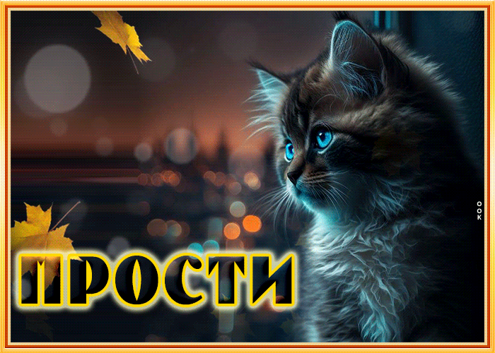 Picture магнетическая анимационная открытка с котиком прости