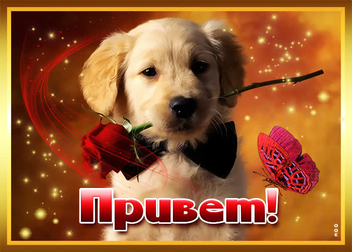 Картинка маленький приветик