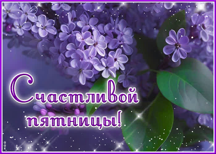 Postcard мечтательная весенняя гиф-открытка счастливой пятницы