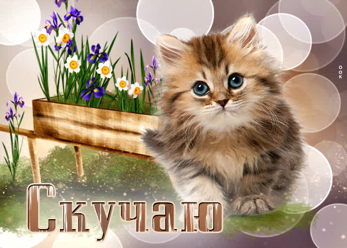 Picture мерцающая открытка с котенком скучаю