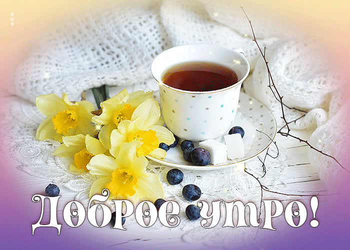 Picture мерцающая открытка с нарциссами доброе утро