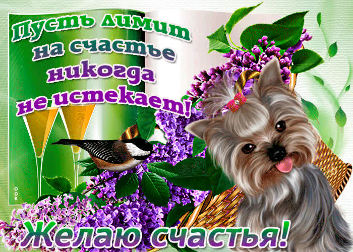 Картинка мешочек счастья вам несу