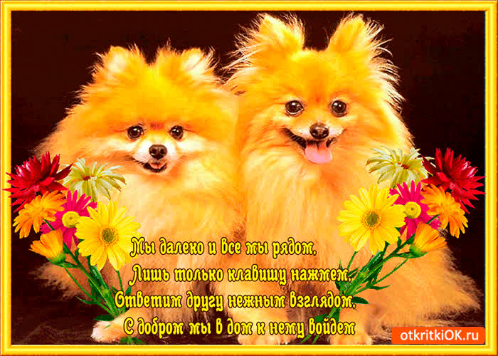 Картинка мы далеко и все мы рядом