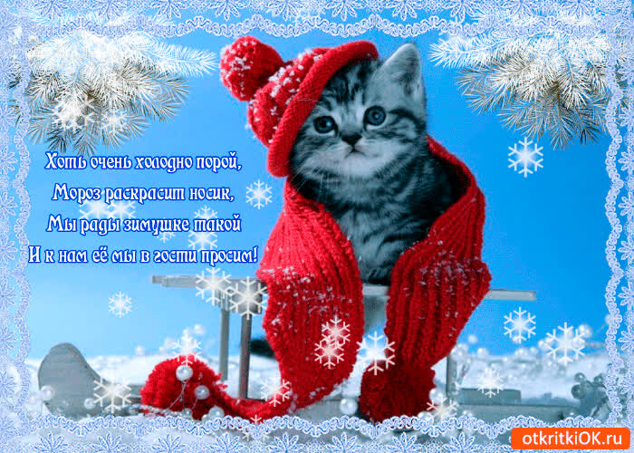 Картинка мы рады зимушке такой