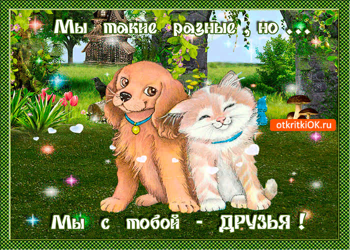 Картинка мы разные но друзья