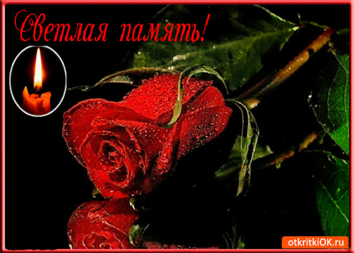 Картинка мы всегда будем помнить картинка