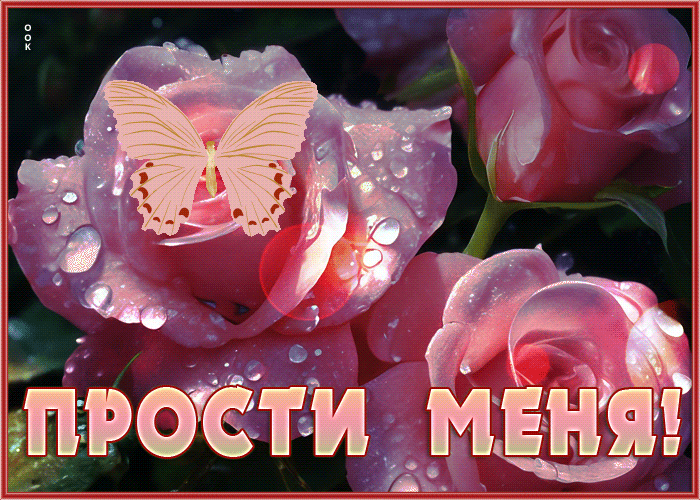 Picture милая и уютная гиф-открытка с бабочкой прости меня