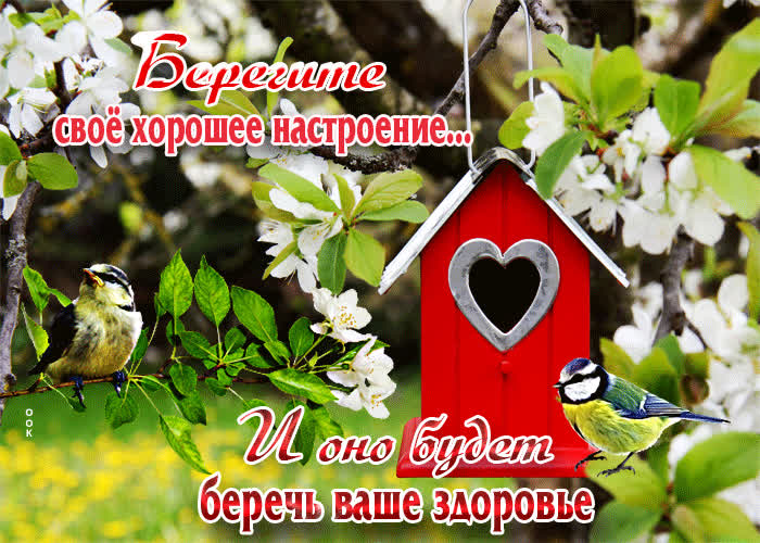 Postcard милая открытка берегите свое хорошее настроение