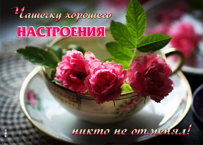 Postcard милая открытка чашечку хорошего настроения никто не отменял