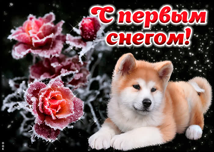 Картинка милая картинка с первым снегом
