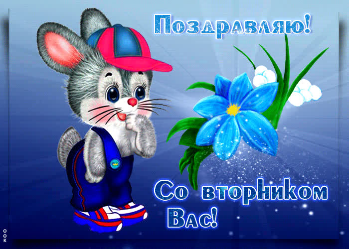 Postcard милая открытка с зайчиком поздравляю! со вторником вас!