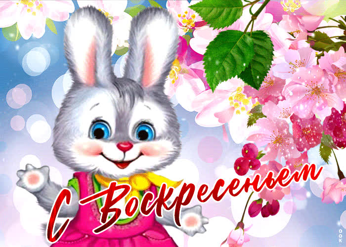 Картинка милая открытка с зайцем с воскресеньем