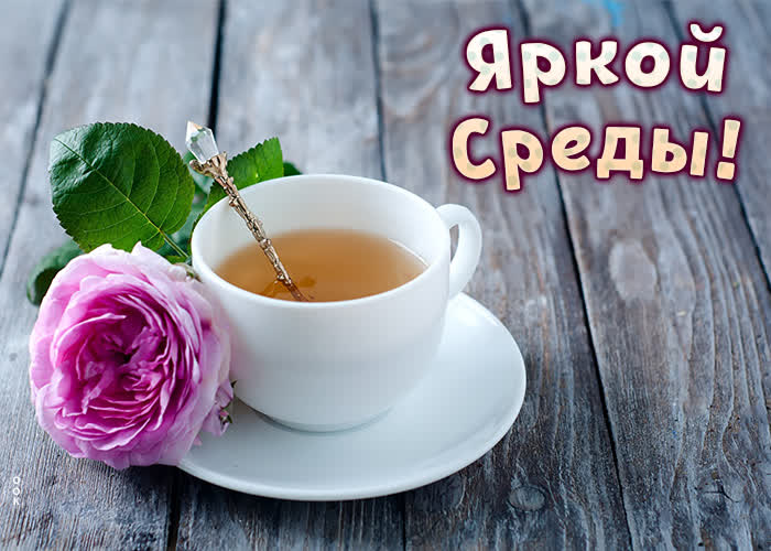 Открытка милая открытка со средой