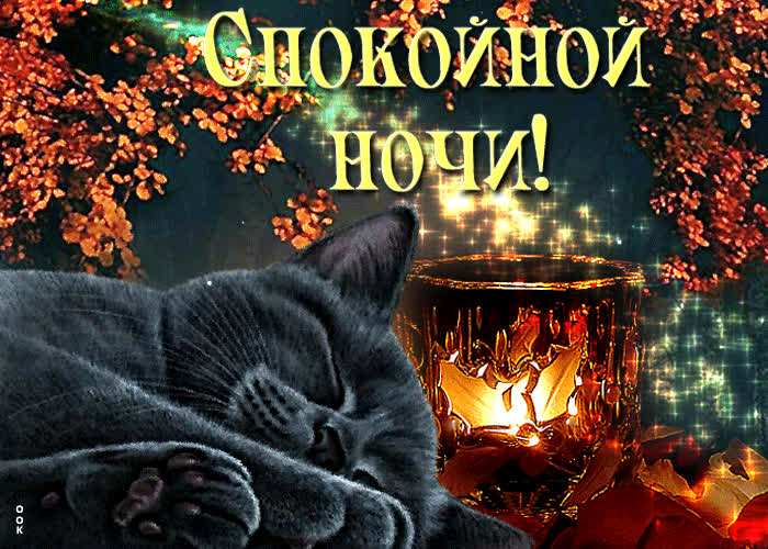 Открытка милая открытка  спокойной ночи