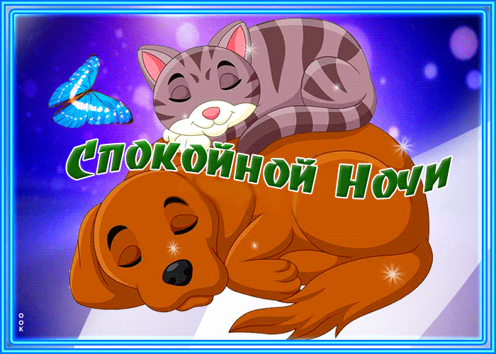 Picture миленькая открытка спокойной ночи! с животными