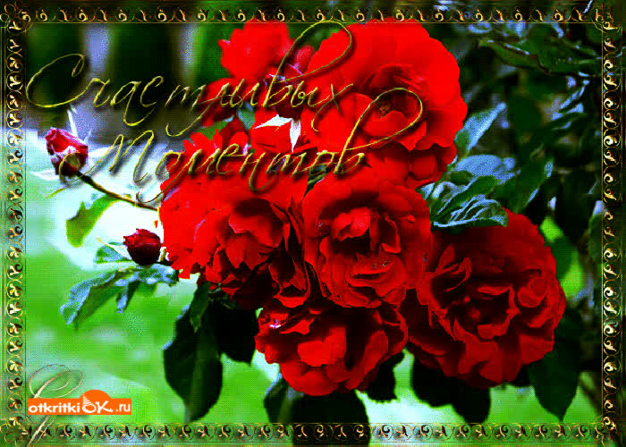 Картинка миллион счастливых моментов