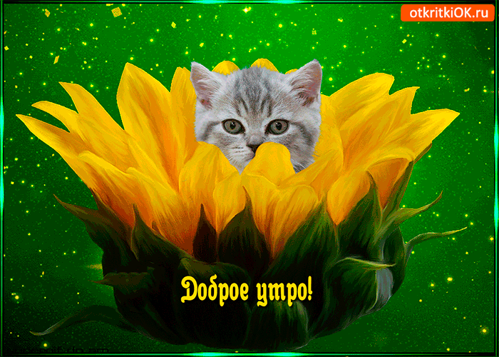 Открытка милого и доброго утра