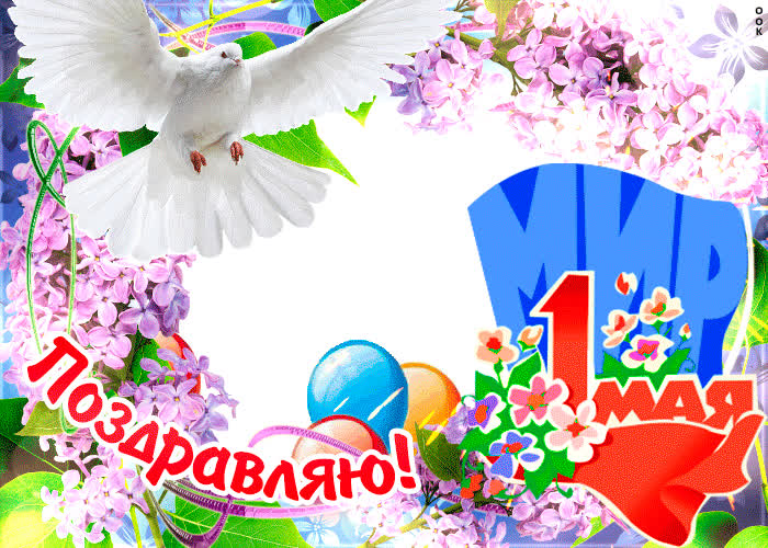 Картинка мир всем в день 1 мая
