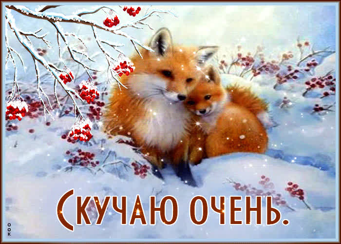 Picture мирная и умиротворяющая открытка с лисятами скучаю очень