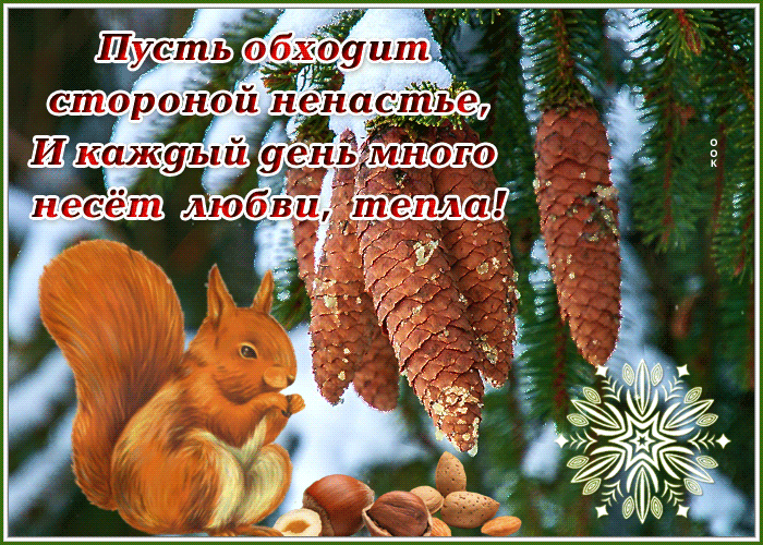 Открытка много счастья и добра тебе желаю