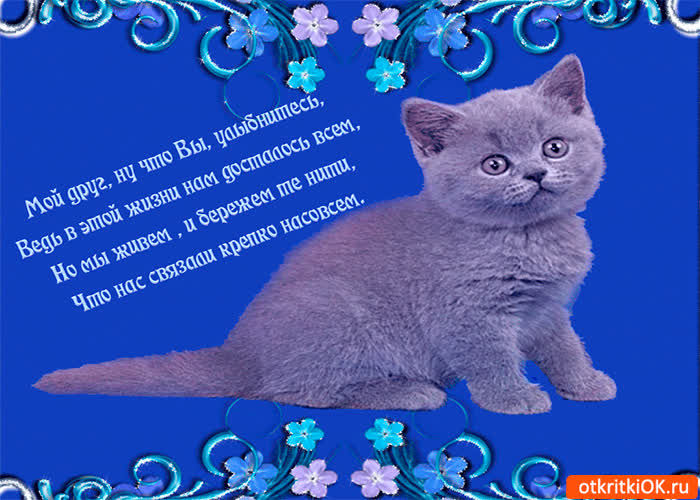 Картинка мой друг улыбнитесь