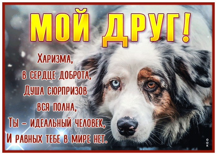 Picture мой друг! харизма в сердце, доброта, душа сюрпризов вся полна