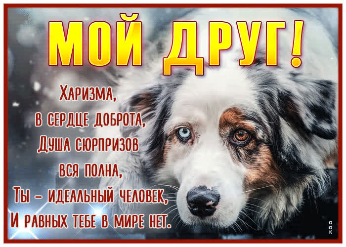 Picture мой друг! харизма в сердце, доброта, душа сюрпризов вся полна