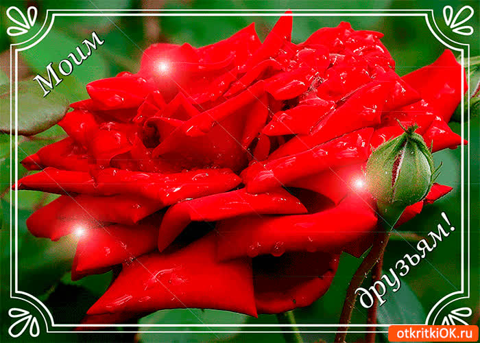 Картинка моим далёким и близким друзьям