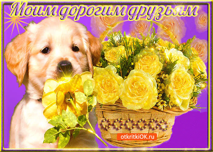 Открытка моим дорогим друзьям, вы лучшие