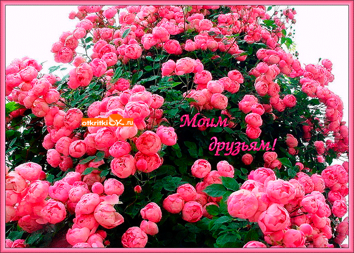 Открытка моим друзьям с любовью цветы