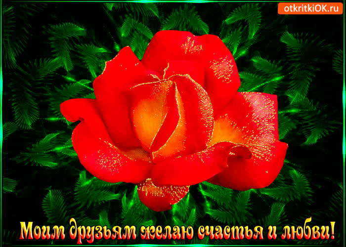 Картинка моим друзьям желаю любви