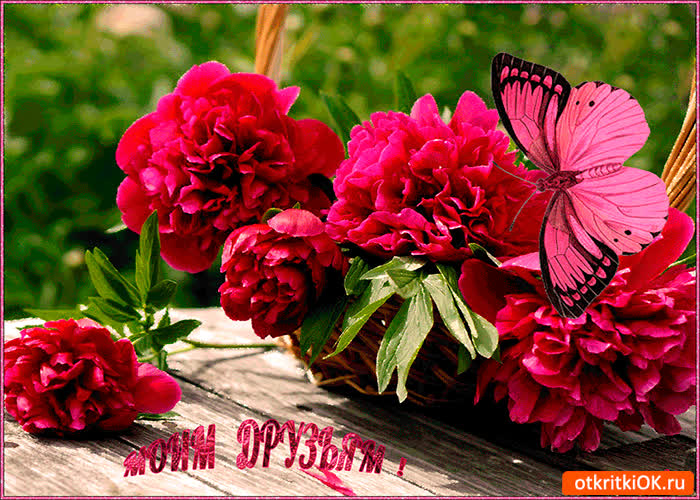 Картинка моим друзьям корзина пион