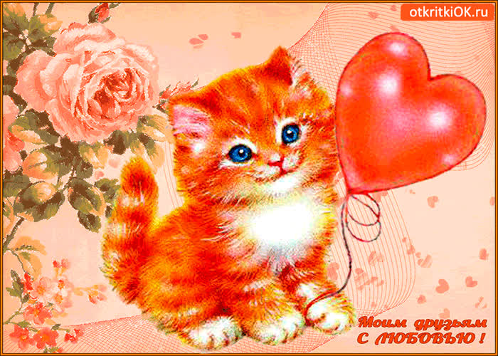 Картинка моим друзьям цветок с любовью