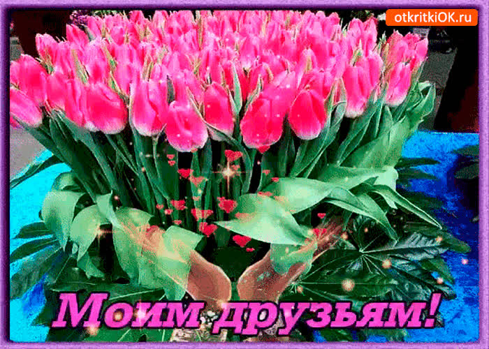 Картинка моим друзьям букет шикарных тюльпанов