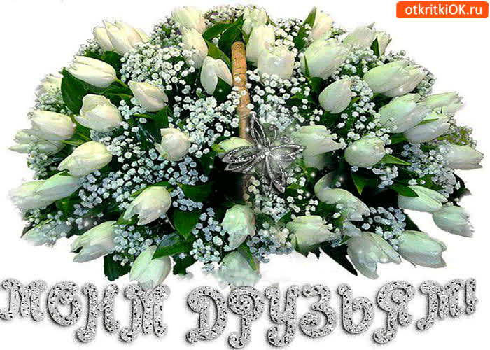 Картинка моим друзьям шикарная корзина цветов