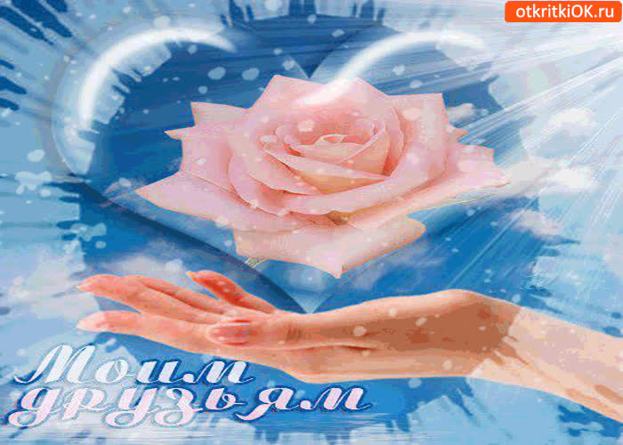 Картинка моим друзьям - я розу дарю вам