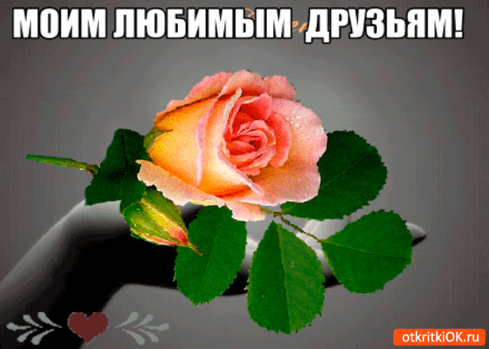 Картинка моим любимым друзьям открытка