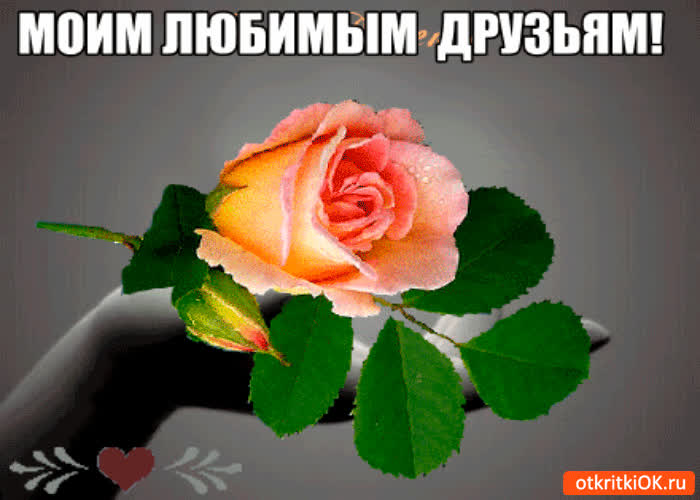 Картинка моим любимым друзьям картинка