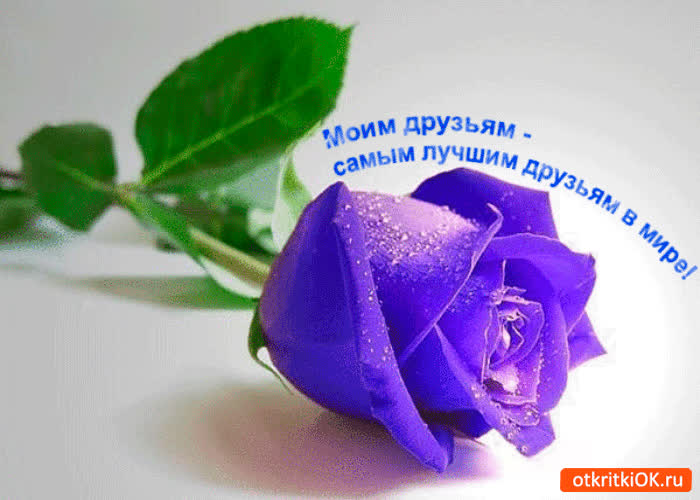 Картинка моим самым лучшим друзьям