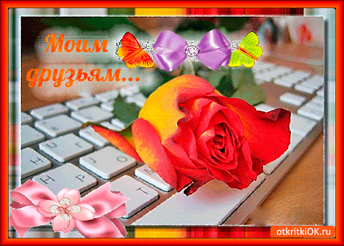 Картинка моим виртуальным друзьям розу дарю