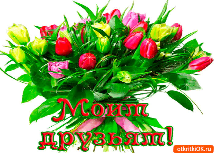 Картинка моим друзьям букет тюльпан